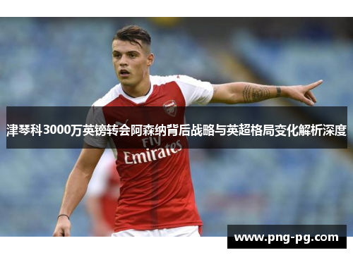 津琴科3000万英镑转会阿森纳背后战略与英超格局变化解析深度 津琴科3000万英镑转会阿森纳背后战略与英超格局变化解析深度